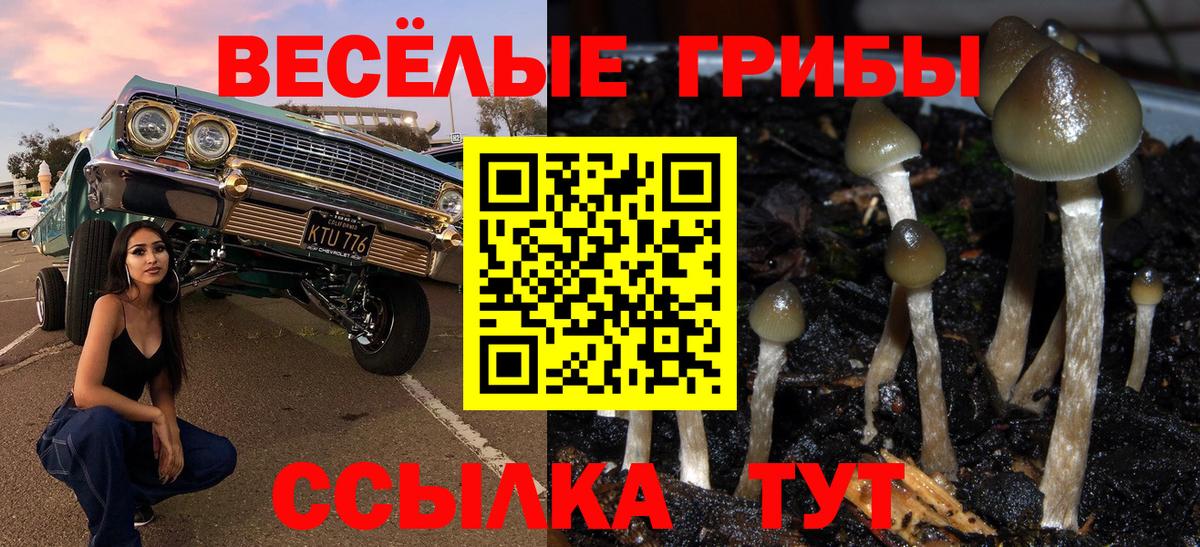 Лабытнанги  Галлюциногенные грибы мицелий  Вход с VPN 