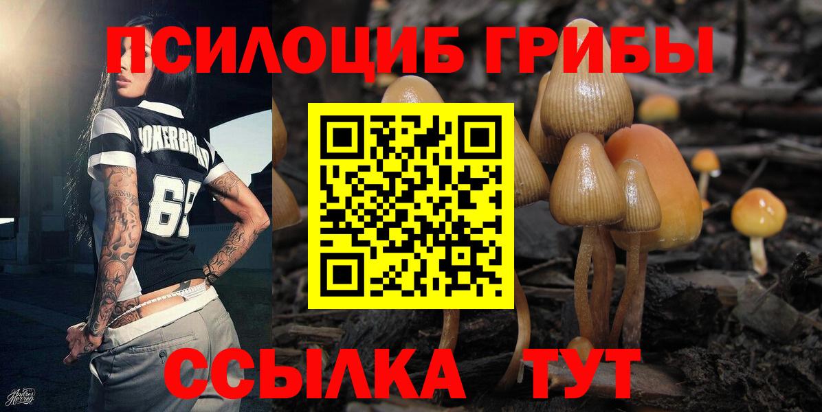 Псилоцибиновые грибы Cubensis Лабытнанги